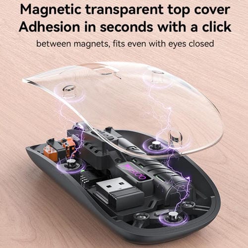 EDA0084960_B8.jpg@e6a5664b3b5d5a32799e35b054f5cb06