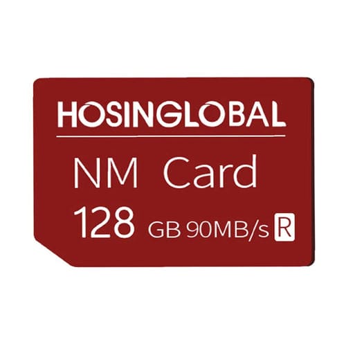 Tarjeta de memoria Hosinglobal NM 128GB 90MB/s