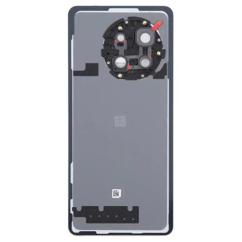 Coperchio posteriore della batteria OnePlus 13R (Titanio)