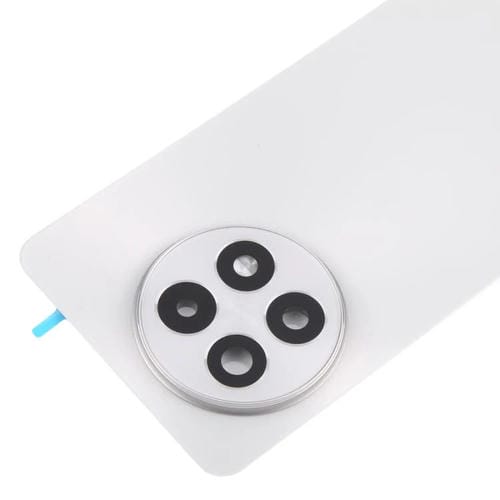 Coperchio posteriore della batteria OnePlus 13R (Titanio)