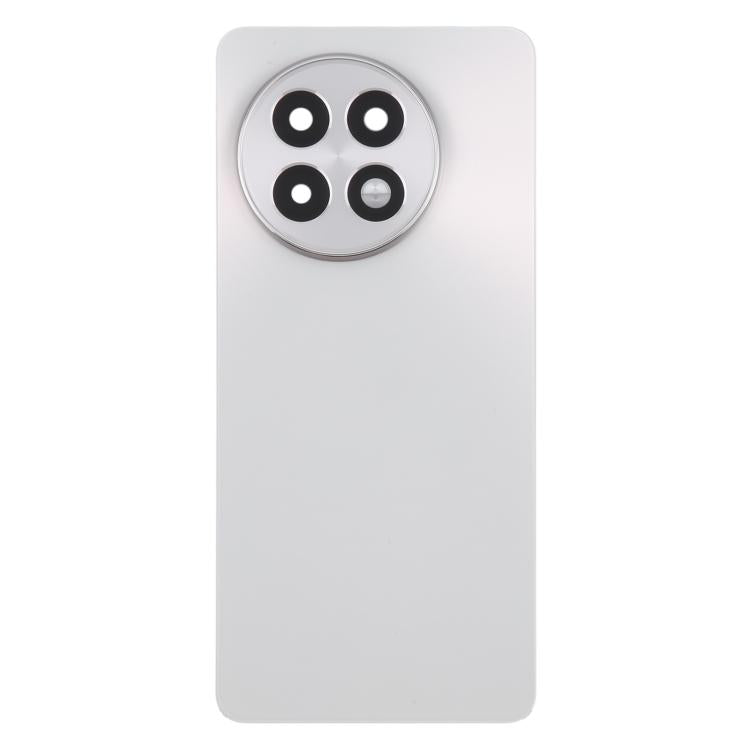 Coque arrière de batterie en verre OnePlus 13R CPH2645 CPH2691 CPH2647 (Argent mat)