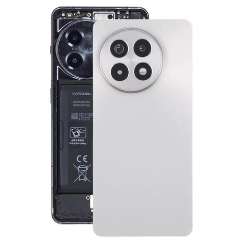 Back Battery Glass Cover for OnePlus Ace 5 5G with Camera Lens (Titanium)