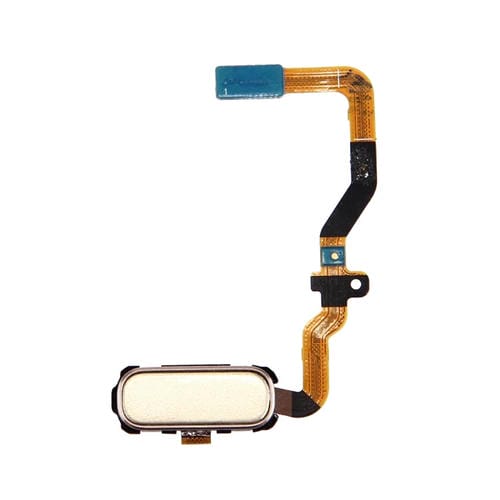 Botón de Inicio Flex Cable Samsung Galaxy S7 / G930 (Oro)