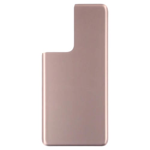 Tappo posteriore della batteria Samsung Galaxy S21 Ultra 5G (Marrone)