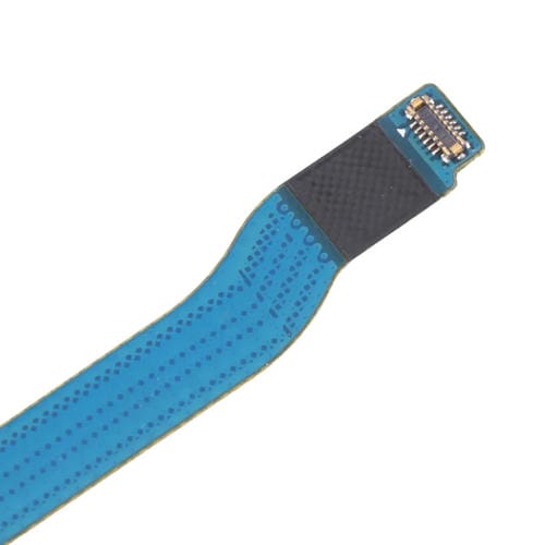 Cavo flessibile della scheda madre Samsung Galaxy S10 5G (USA)