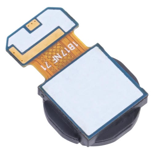 Weitwinkelkamera Samsung Galaxy A53 5G SM-A536B