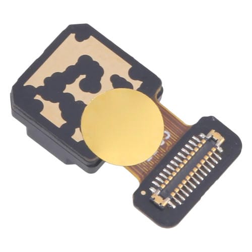 Rückkamera Breit Realme 10 Pro+ Original