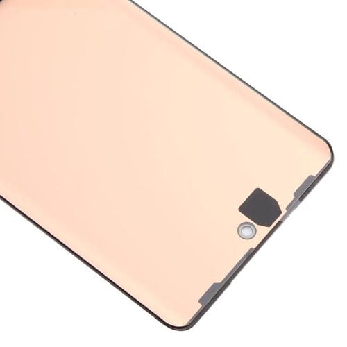 Schermo Intero OLED Vivo X100 Pro e Sensore di Impronte Digitali