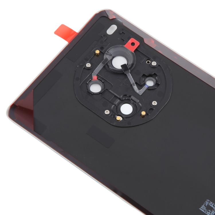 Rückseite Batterieglas OnePlus Ace 3 Pro PJX110 Kameraglas (Silber)