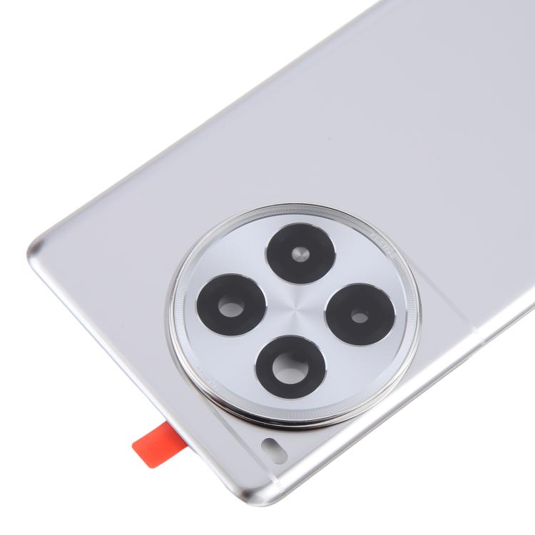 Rückseite Batterieglas OnePlus Ace 3 Pro PJX110 Kameraglas (Silber)