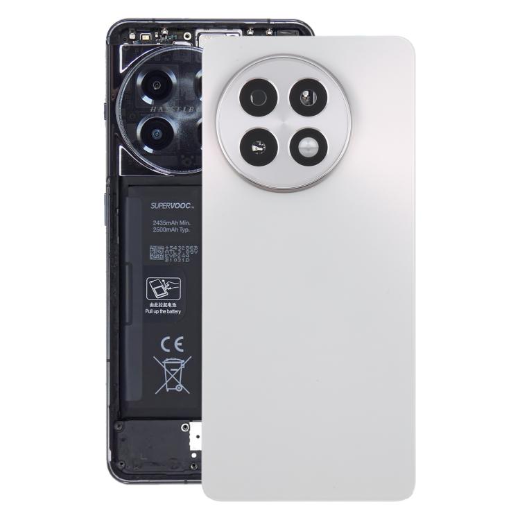 Coperchio posteriore della batteria in vetro OnePlus 13R CPH2645 CPH2691 CPH2647 (Argento opaco)