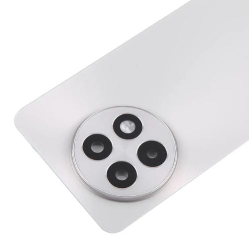 Coque arrière de batterie en verre OnePlus 13R CPH2645 CPH2691 CPH2647 (Argent mat)