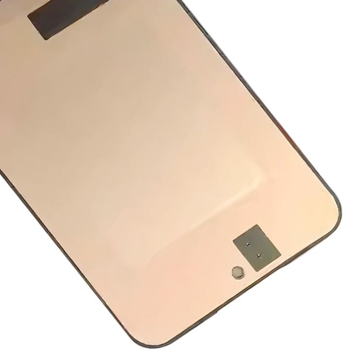 RPS1173B_3.jpg@ae602706ef7b45f943b689947f6e35b8