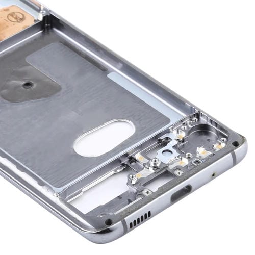 Middle Frame Bezel Plate Samsung Galaxy S20 (Gray)