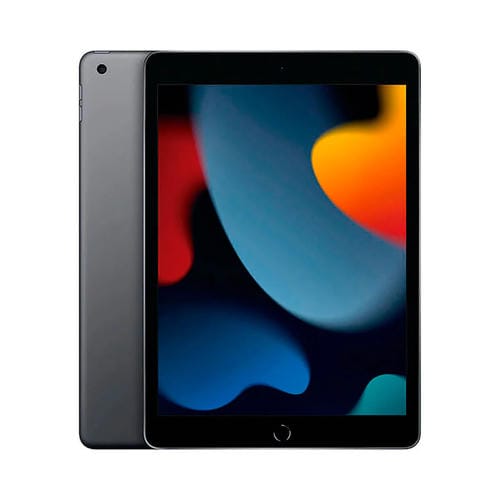 Apple iPad 10.2 2021 (9th Generation) 256GB Wi-Fi + Cellular Gray