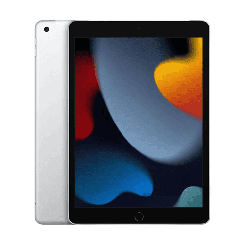Apple iPad 10.2 2021 (9th Generation) 256GB Wi-Fi + Cellular Silver