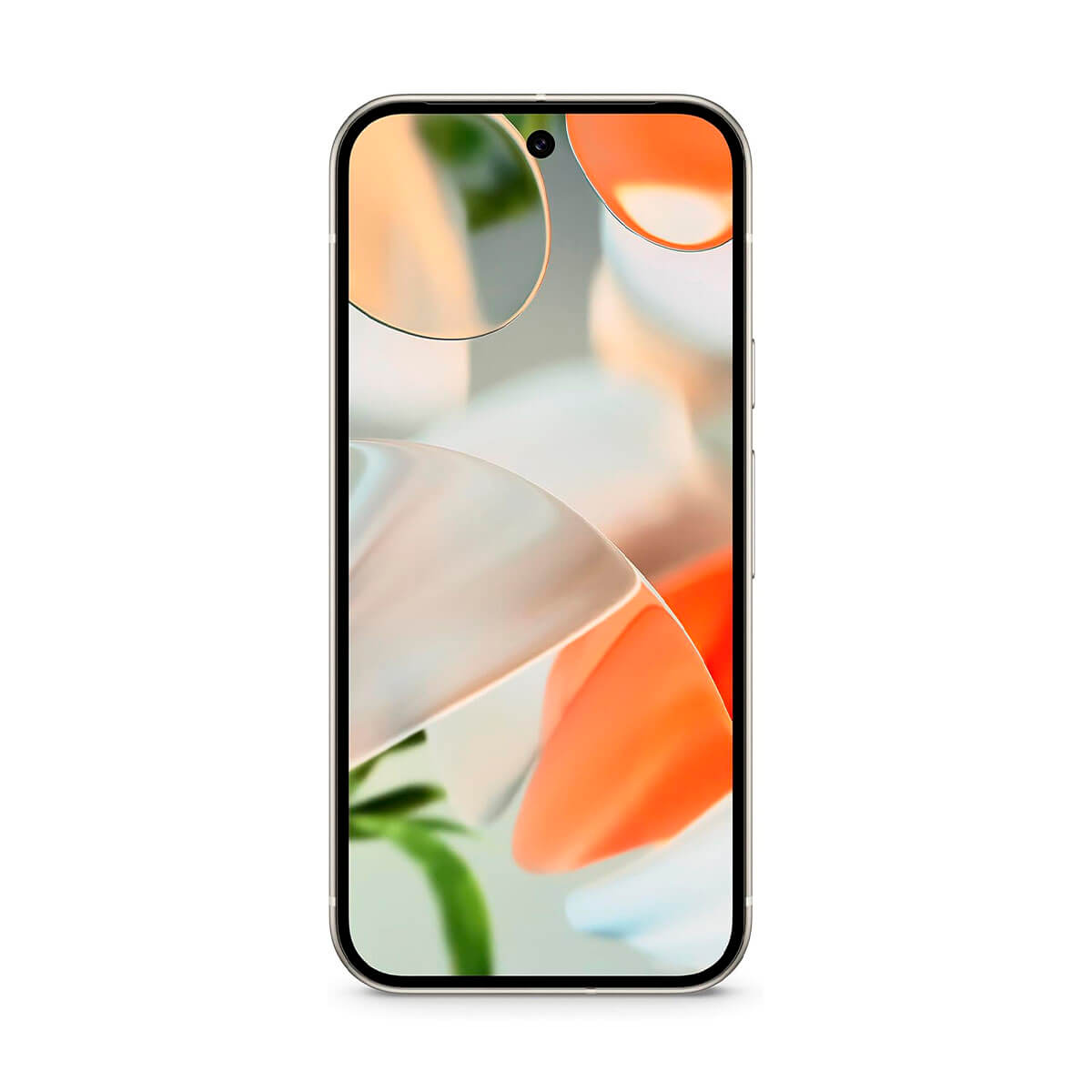 Google Pixel 9 5G 12Gb/256Gb Beige (Porcelain) Dual Sim